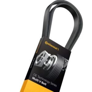 Duralast Belt 4040535