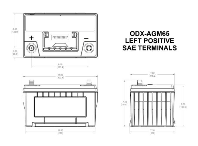 Odyssey Extreme Battery BCI Group Size 65 950 CCA ODX-AGM65a